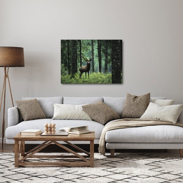 Slika - Jelen u dubokoj šumi (70x50 cm)