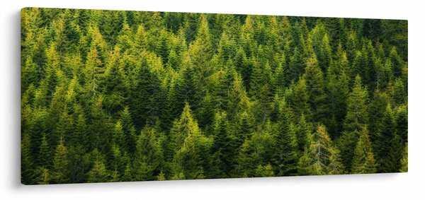 Slika - Gusta šuma (120x50 cm)