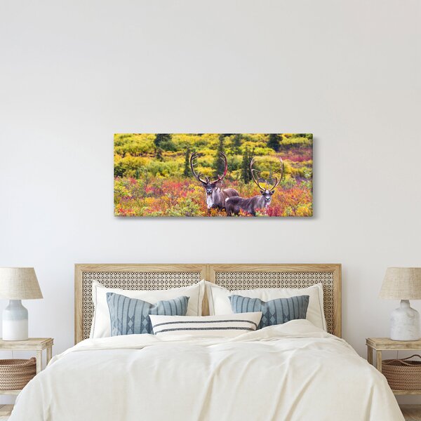 Slika - Karibu na Aljasci (120x50 cm)