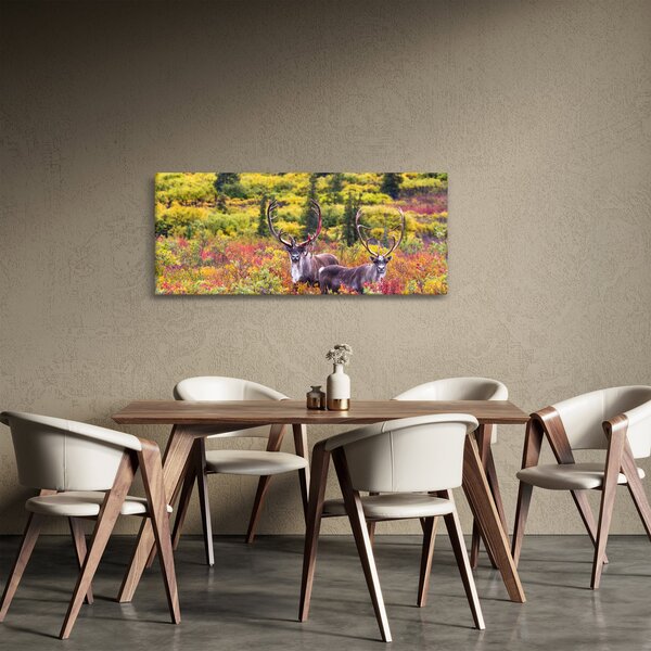 Slika - Karibu na Aljasci (120x50 cm)