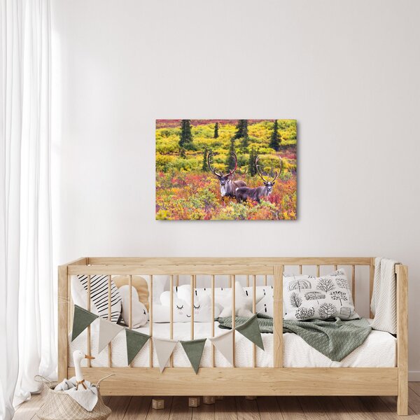 Slika - Karibu na Aljasci (70x50 cm)