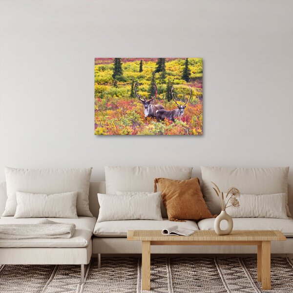 Slika - Karibu na Aljasci (70x50 cm)