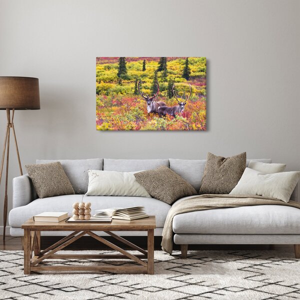 Slika - Karibu na Aljasci (90x60 cm)