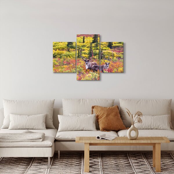 Slika - Karibu na Aljasci (90x60 cm)