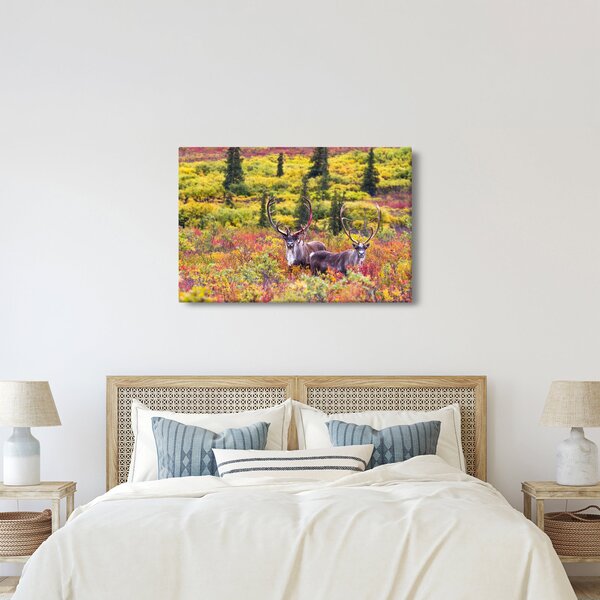 Slika - Karibu na Aljasci (90x60 cm)
