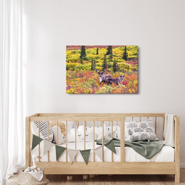 Slika - Karibu na Aljasci (90x60 cm)