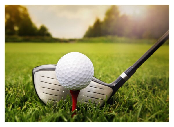 Slika - Golf (70x50 cm)