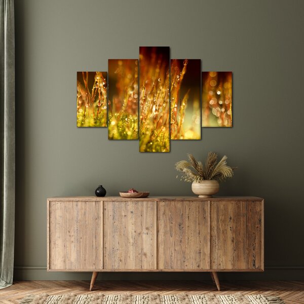 Slika - Detalj rose (150x105 cm)