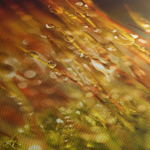 Slika - Detalj rose (150x105 cm)