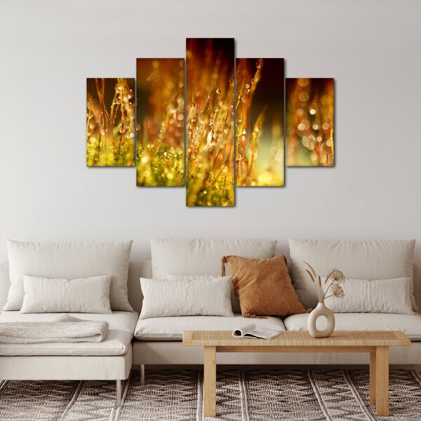Slika - Detalj rose (150x105 cm)