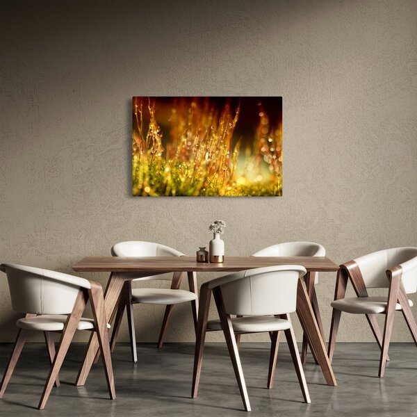 Slika - Detalj rose (90x60 cm)