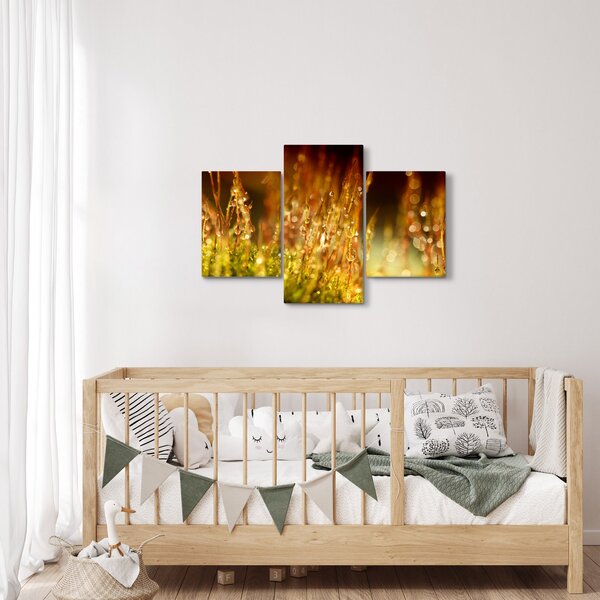 Slika - Detalj rose (90x60 cm)