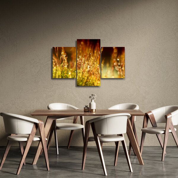Slika - Detalj rose (90x60 cm)