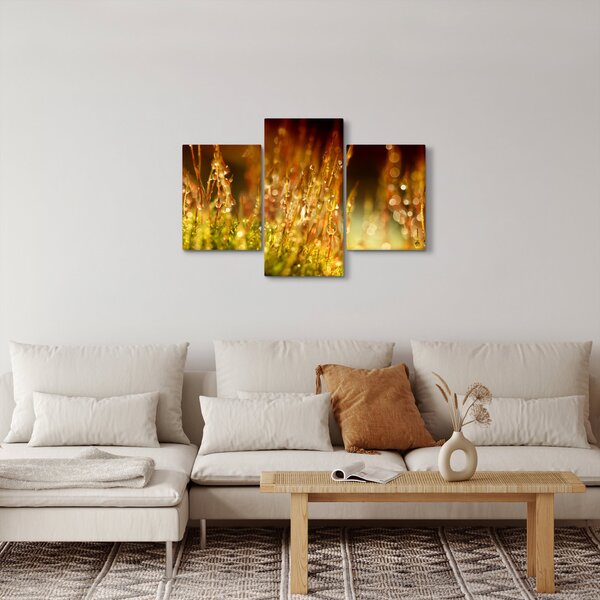 Slika - Detalj rose (90x60 cm)