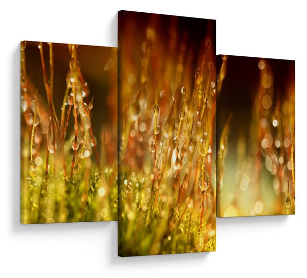 Slika - Detalj rose (90x60 cm)