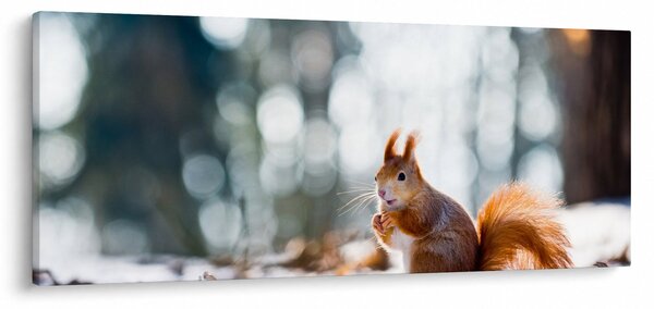 Slika - Vjeverica (120x50 cm)