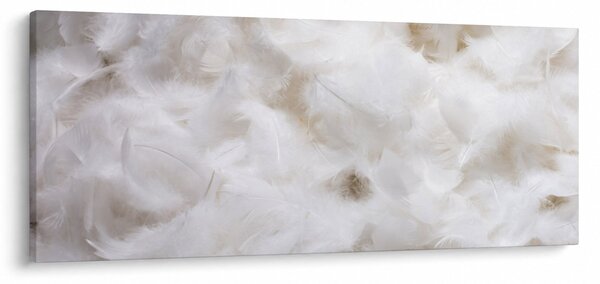 Slika - Bijelo perje (120x50 cm)