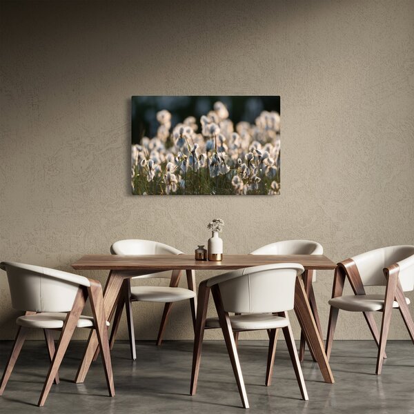 Slika - Bijeli svračak (90x60 cm)