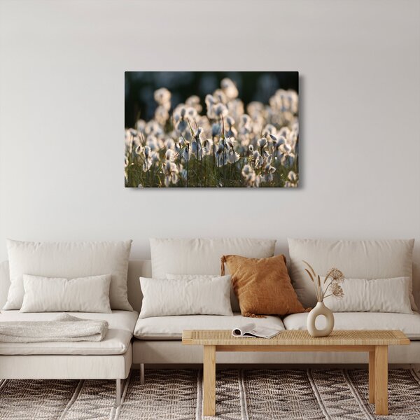 Slika - Bijeli svračak (90x60 cm)