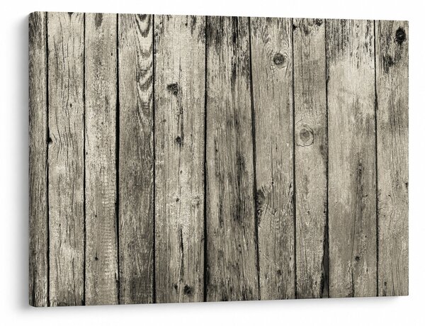 Slika - Drvo (70x50 cm)