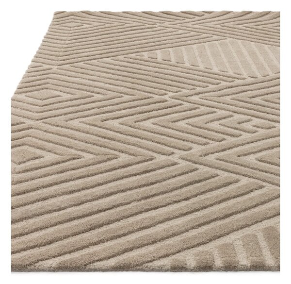 Svjetlo smeđi vuneni tepih 200x290 cm Hague – Asiatic Carpets