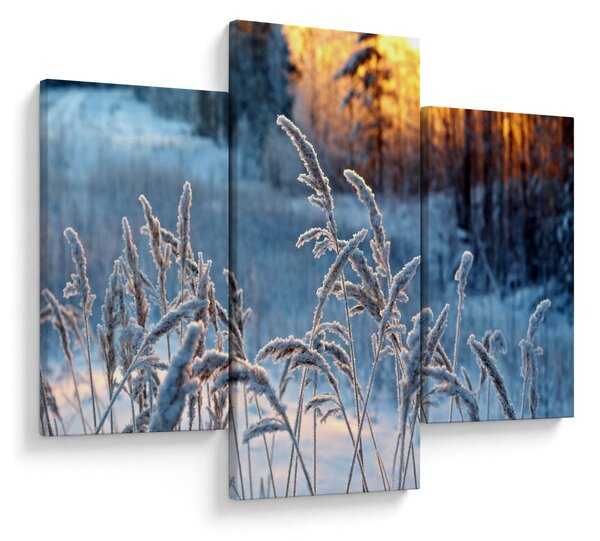 Slika - Zimska livada (90x60 cm)