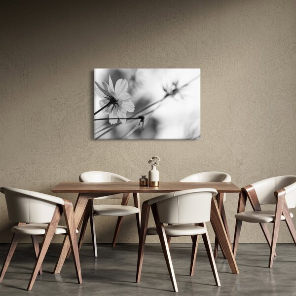 Slika - Crno-bijelo cvijeće (90x60 cm)
