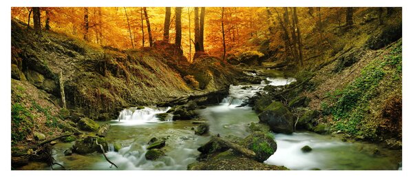 Slika - Šuma (120x50 cm)