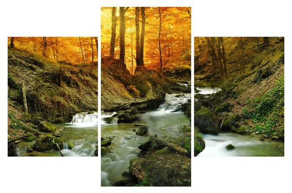 Slika - Šuma (90x60 cm)