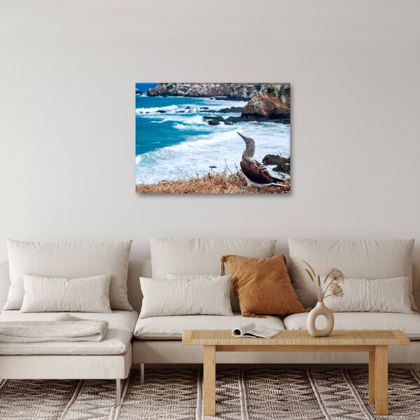 Slika - Terej plavonogi (70x50 cm)