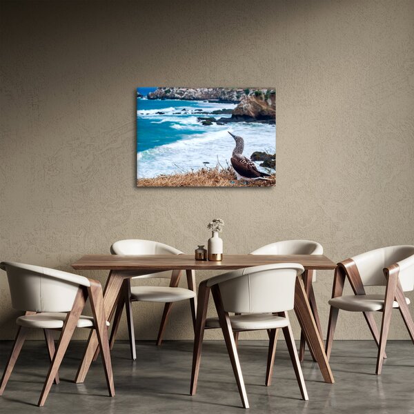 Slika - Terej plavonogi (70x50 cm)
