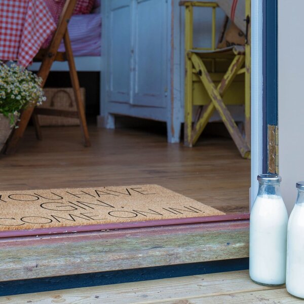 Otirač od kokosovih vlakana 40x60 cm If You Have Gin – Artsy Doormats