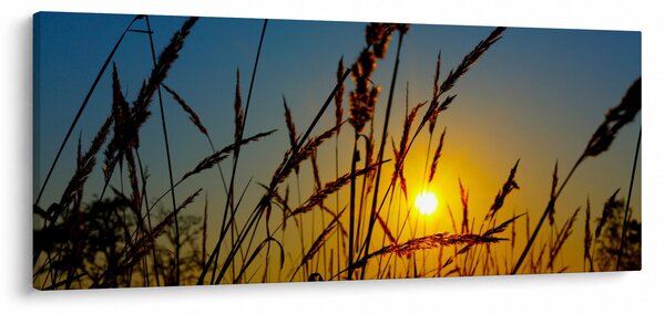 Slika - Zalazak sunca na livadi (120x50 cm)