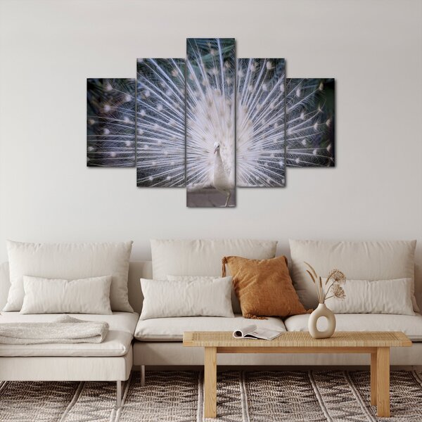 Slika - Bijeli paun (150x105 cm)