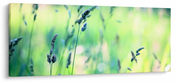 Slika - Detalj livade (120x50 cm)