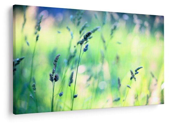Slika - Detalj livade (90x60 cm)