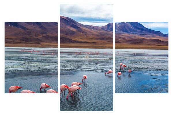 Slika - Flamingosi (90x60 cm)