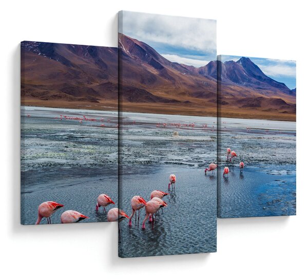 Slika - Flamingosi (90x60 cm)