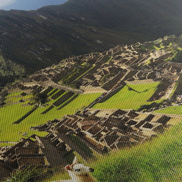 Slika - Lame u Machu Picchu (90x60 cm)