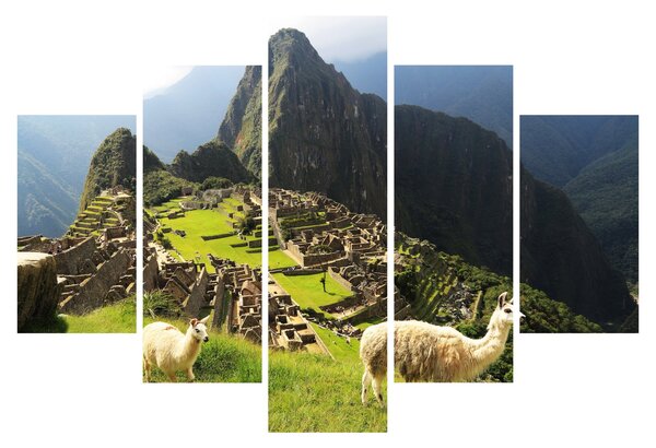 Slika - Lame u Machu Picchu (150x105 cm)