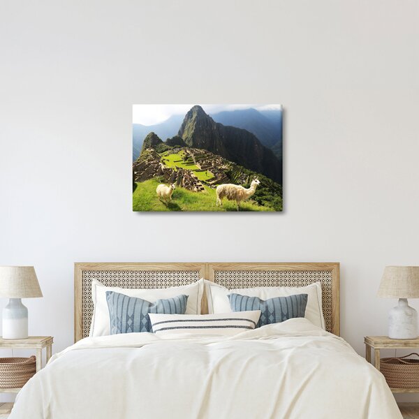Slika - Lame u Machu Picchu (70x50 cm)