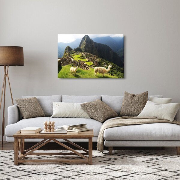 Slika - Lame u Machu Picchu (90x60 cm)
