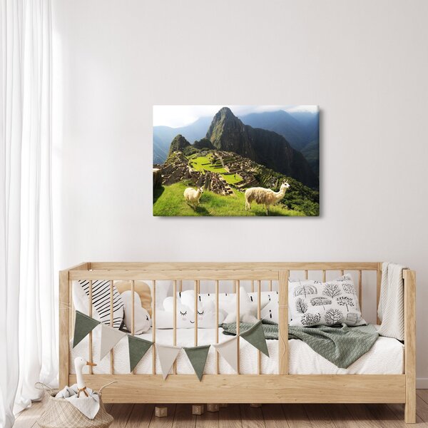 Slika - Lame u Machu Picchu (90x60 cm)