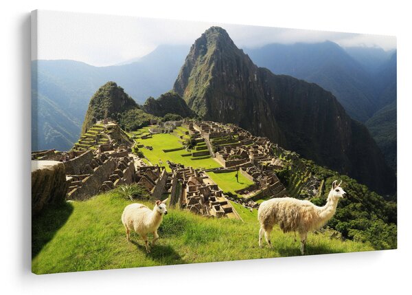 Slika - Lame u Machu Picchu (90x60 cm)