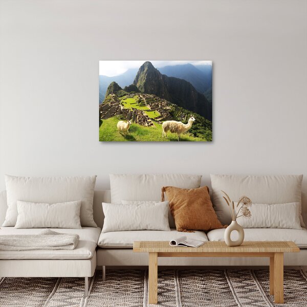 Slika - Lame u Machu Picchu (70x50 cm)