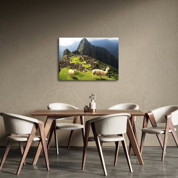 Slika - Lame u Machu Picchu (70x50 cm)