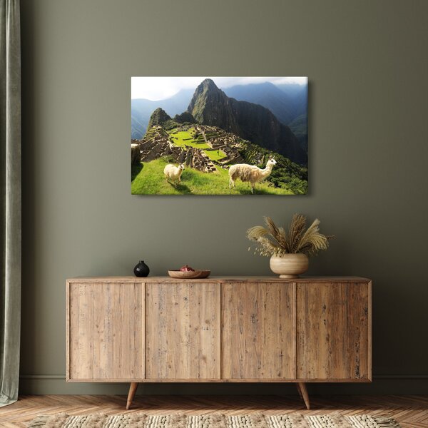 Slika - Lame u Machu Picchu (90x60 cm)