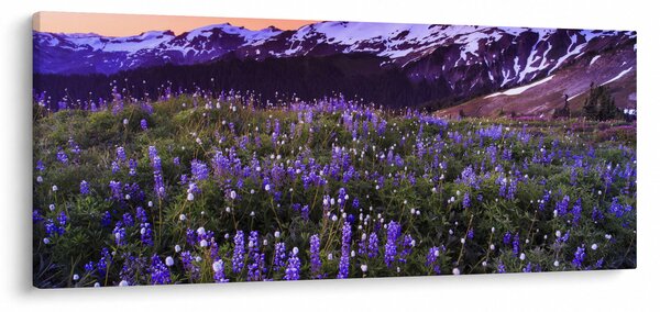 Slika - Vulkan i cvijeće (120x50 cm)