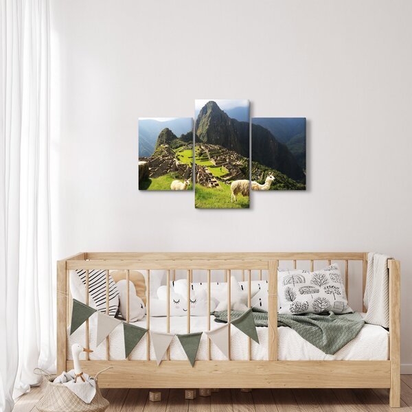 Slika - Lame u Machu Picchu (90x60 cm)