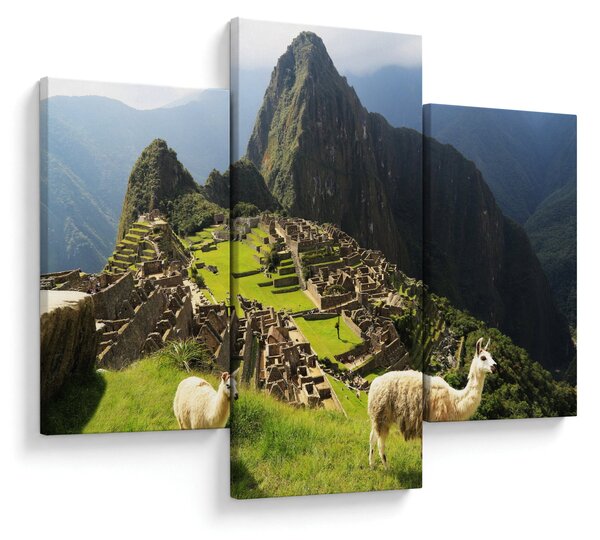 Slika - Lame u Machu Picchu (90x60 cm)